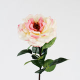 Esperance Rose Stem