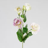 Lavender Lisianthus Stem