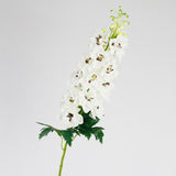 White Delphinium Stem