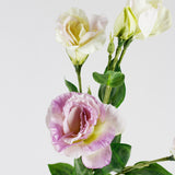Lavender Lisianthus Stem