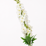 Delphinium spray
