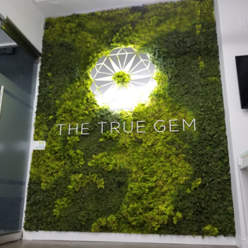 custom moss wall office lobby