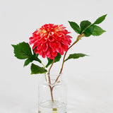 Fuchsia Dahlia Budvase