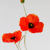 Red Poppy Stem