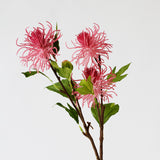 Pink Thistle Stem