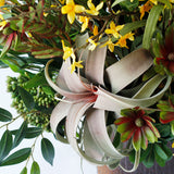 Extra-large Tropical Arrangement