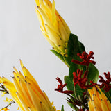 Extra-large Tropical Arrangement