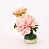 Peony in a Bud Vase