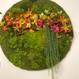 Circle Moss Design - Medium